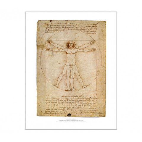 Leonardo 500 | SKEL
